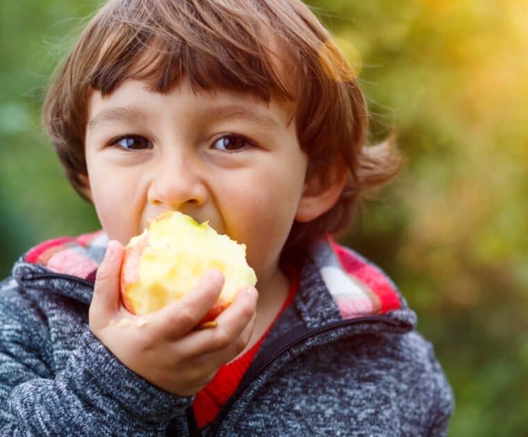 A young boy is eating a large red apple