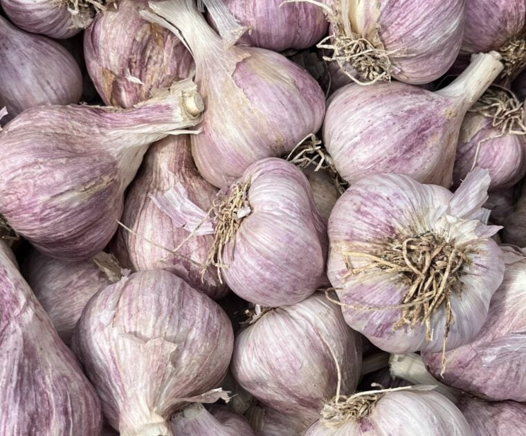 A pile of purple garlic.